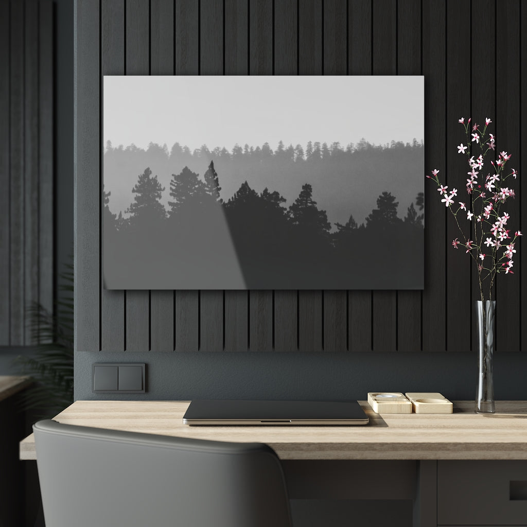 Forest Acrylic Print Glass Black & White Wall Art