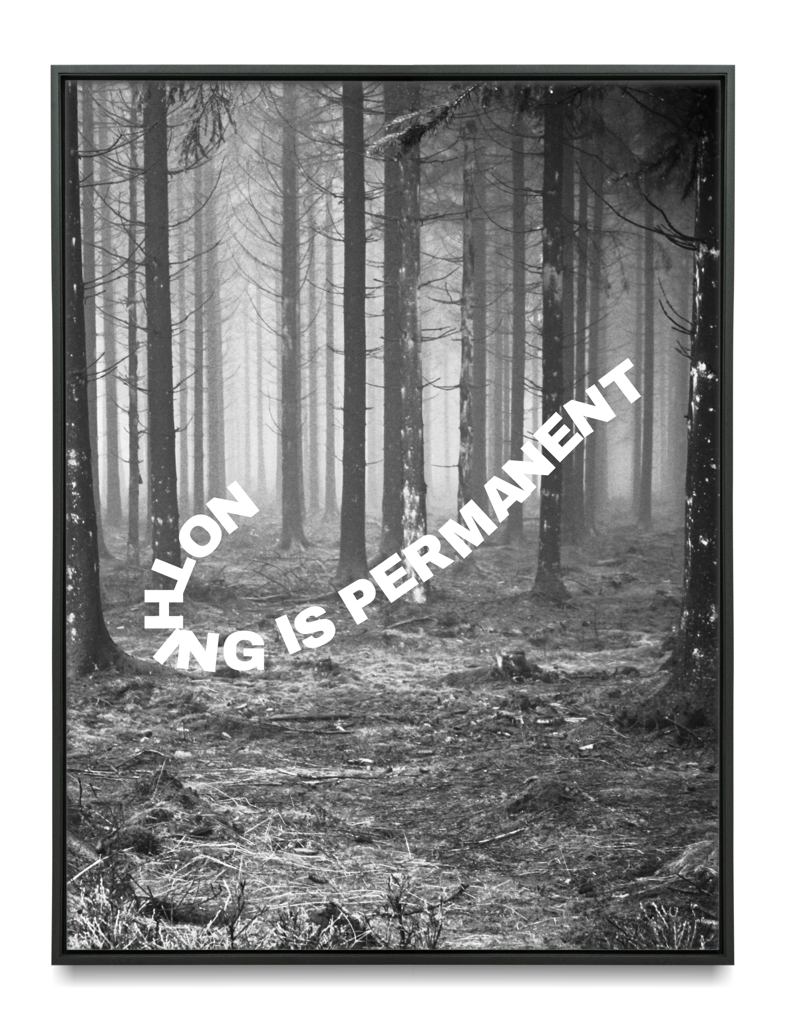 Forest Nothing Is Permanent Poster for Room Teen | Alt Room Decor | Cool Posters & Grunge Room Decor | Aesthetic Posters Wall Decor | UNFRAMED