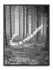 Load image into Gallery viewer, Forest Nothing Is Permanent Poster for Room Teen | Alt Room Decor | Cool Posters &amp; Grunge Room Decor | Aesthetic Posters Wall Decor | UNFRAMED