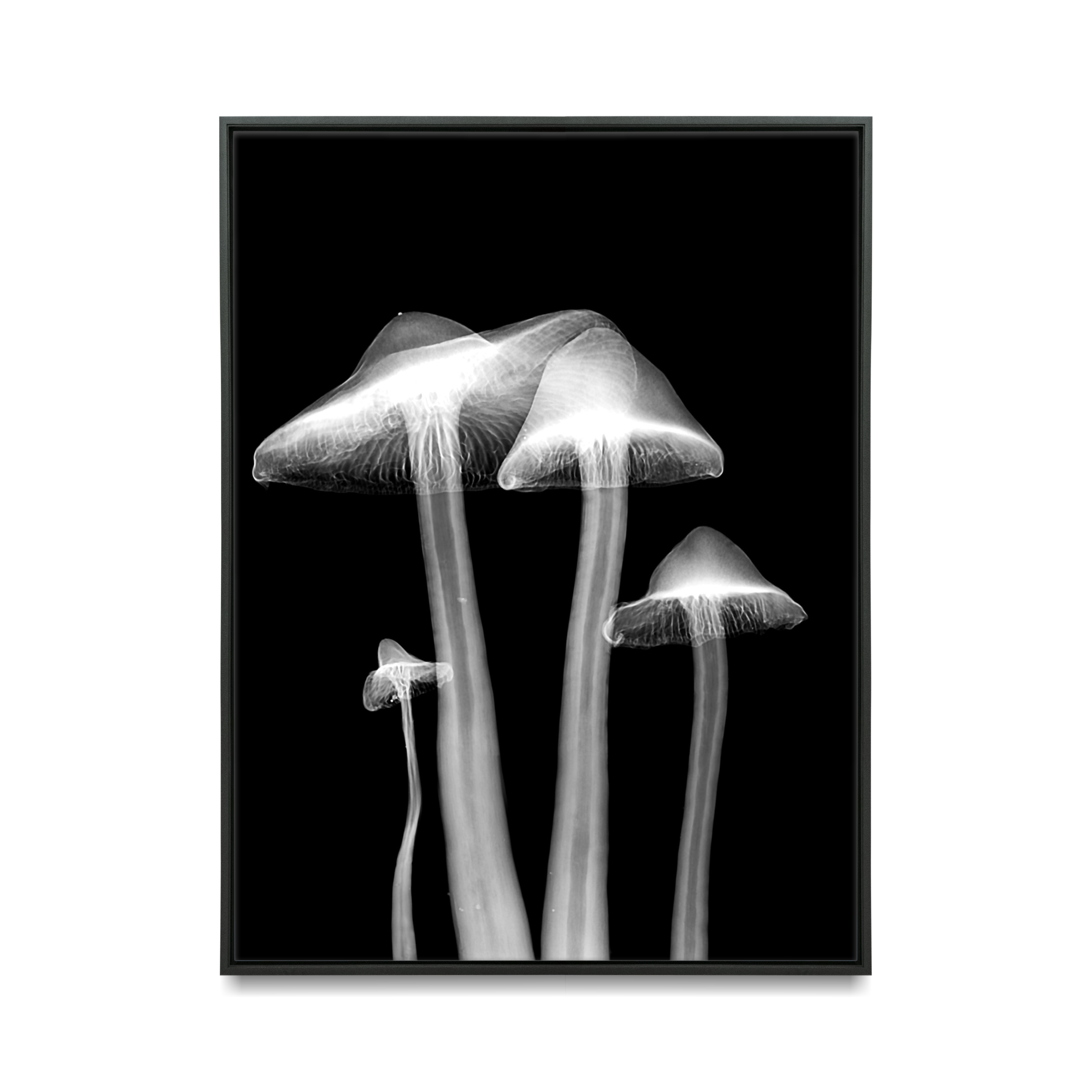 Mushroom Poster | UNFRAMED