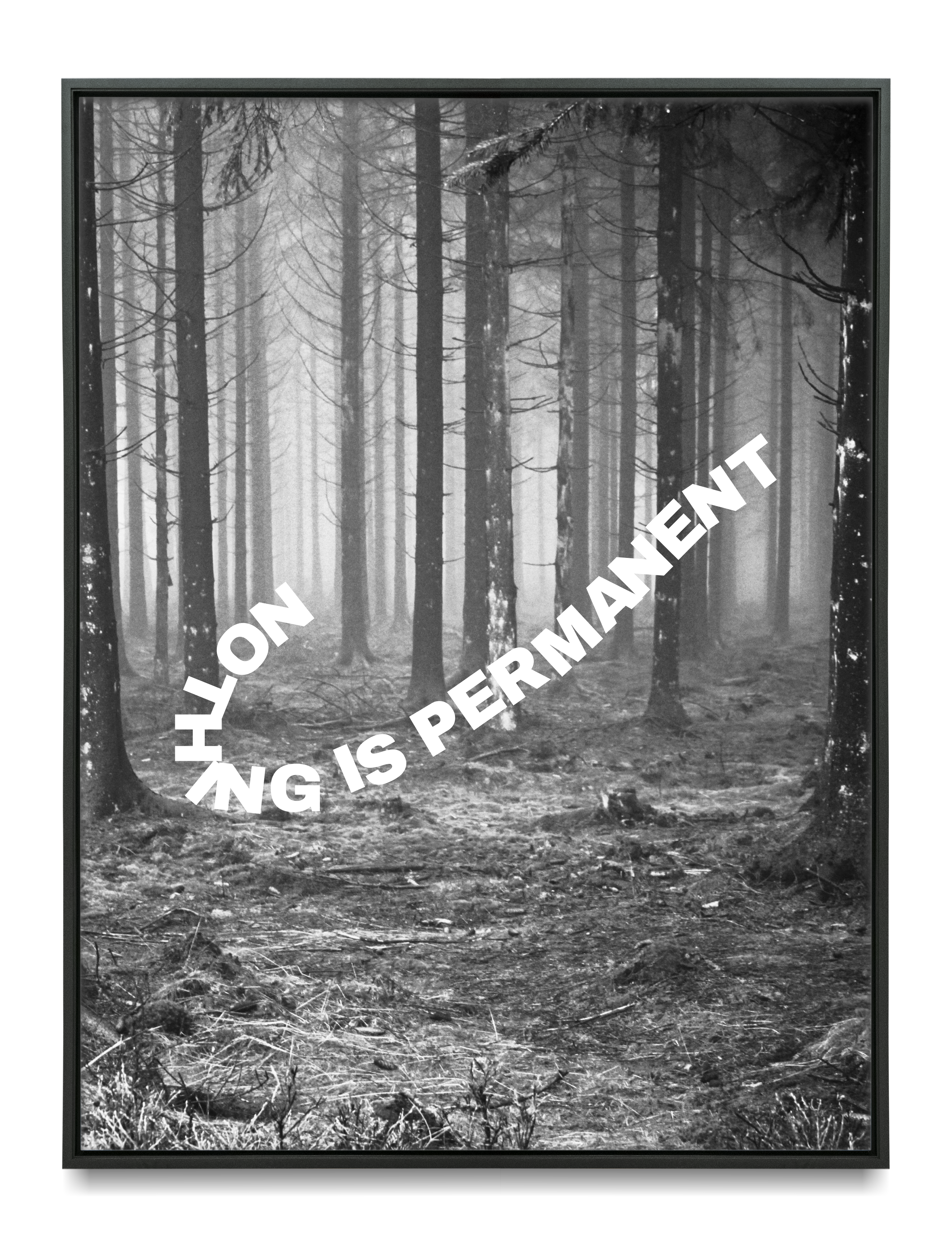 Lightning Nothing Is Permanent Poster for Room Teen | Alt Room Decor | Cool Posters & Grunge Room Decor | Aesthetic Posters Wall Decor | UNFRAMED